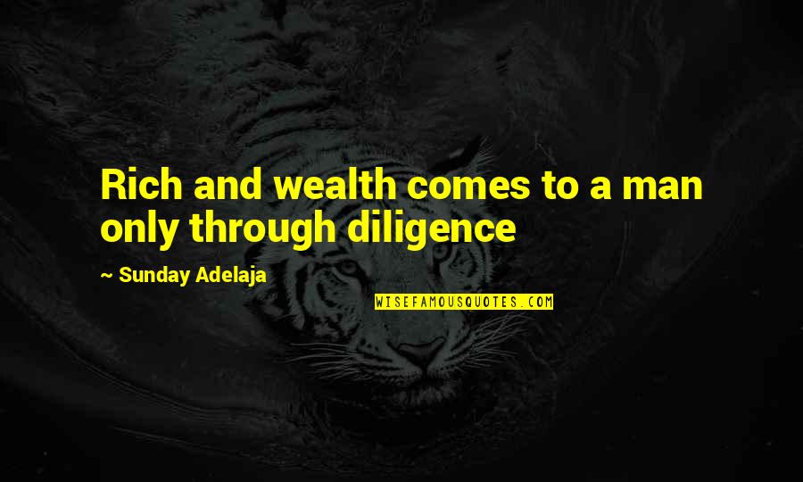 Diligence Quotes Quotes By Sunday Adelaja: Rich and wealth comes to a man only