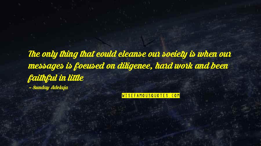 Diligence Quotes Quotes By Sunday Adelaja: The only thing that could cleanse our society