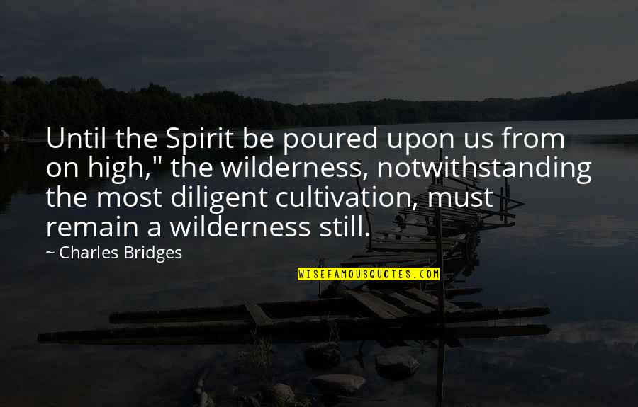 Diligent Quotes By Charles Bridges: Until the Spirit be poured upon us from