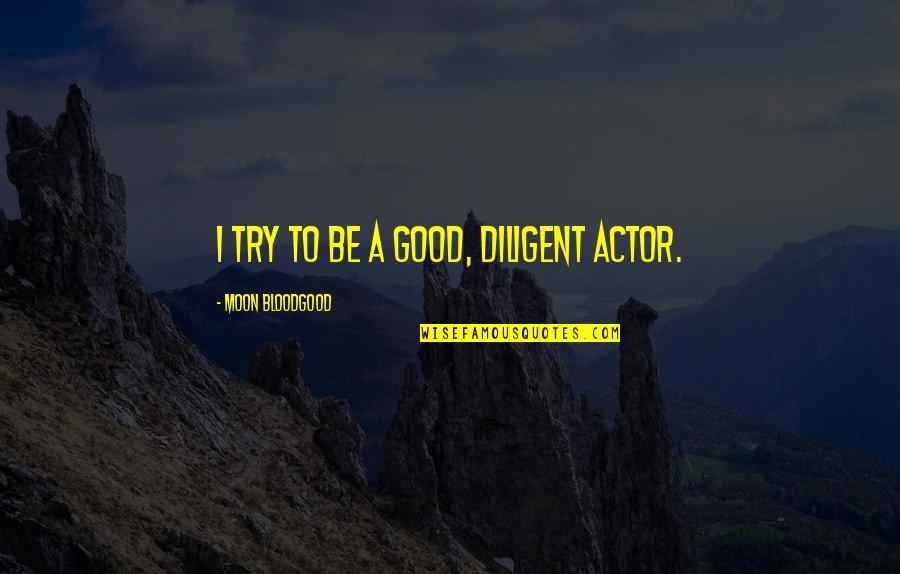 Diligent Quotes By Moon Bloodgood: I try to be a good, diligent actor.