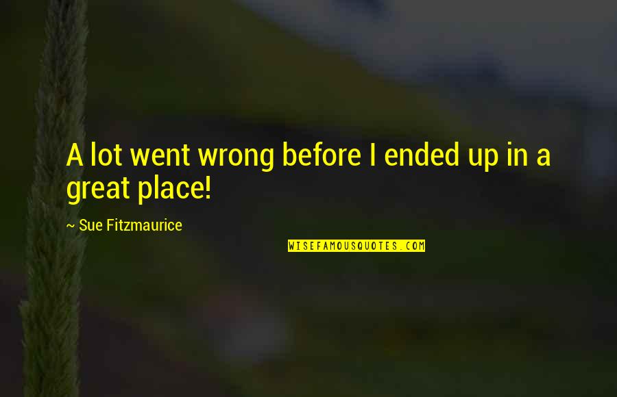 Dilillo Sofa Quotes By Sue Fitzmaurice: A lot went wrong before I ended up