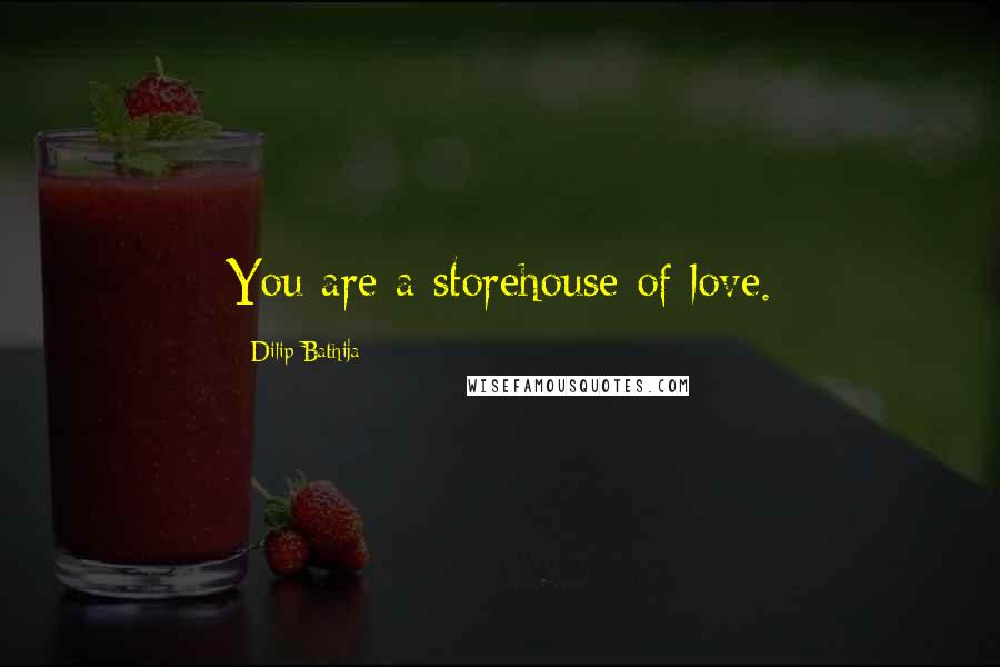 Dilip Bathija quotes: You are a storehouse of love.