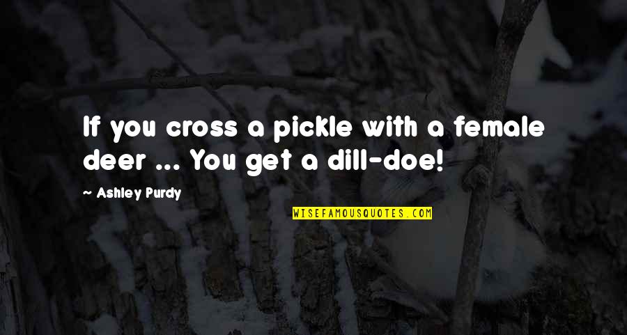 Dill Quotes By Ashley Purdy: If you cross a pickle with a female