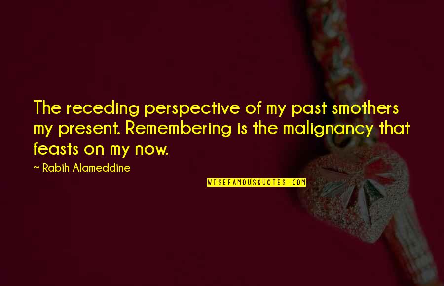 Dillane Ombre Quotes By Rabih Alameddine: The receding perspective of my past smothers my