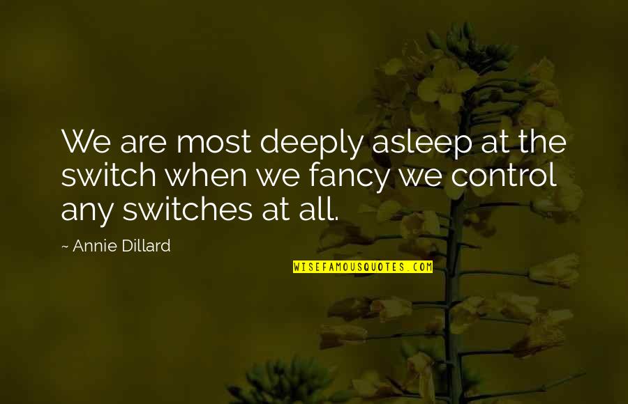 Dillard Quotes By Annie Dillard: We are most deeply asleep at the switch Dillard Quotes By Annie Dillard: We are most deeply asleep at the switch