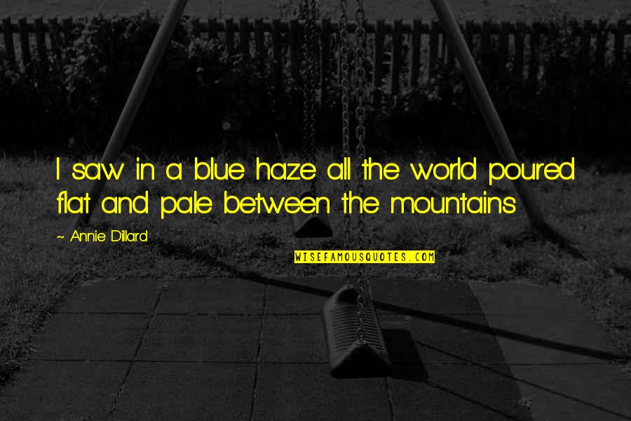 Dillard Quotes By Annie Dillard: I saw in a blue haze all the
