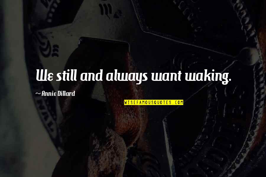 Dillard Quotes By Annie Dillard: We still and always want waking. Dillard Quotes By Annie Dillard: We still and always want waking.