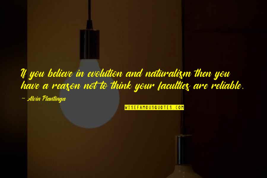 Dillenburgh Quotes By Alvin Plantinga: If you believe in evolution and naturalism then