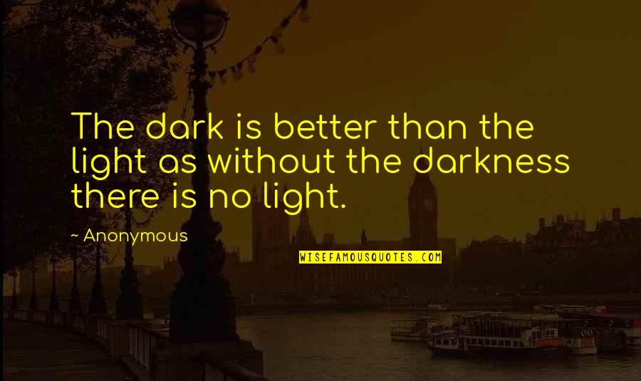 Dilwyn Griffiths Quotes By Anonymous: The dark is better than the light as