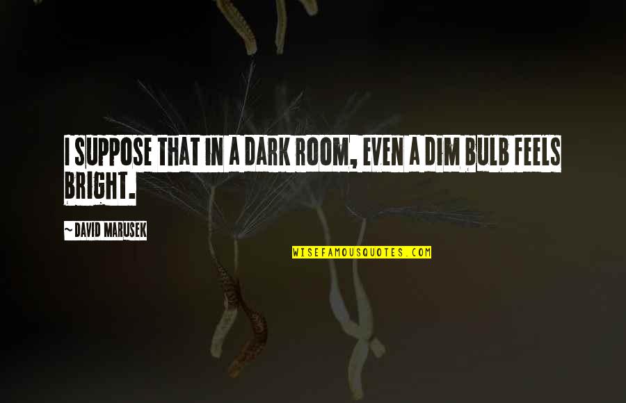 Dim Bulb Quotes By David Marusek: I suppose that in a dark room, even