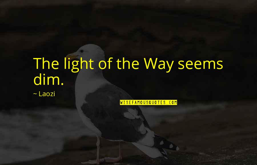 Dim Light Quotes By Laozi: The light of the Way seems dim.