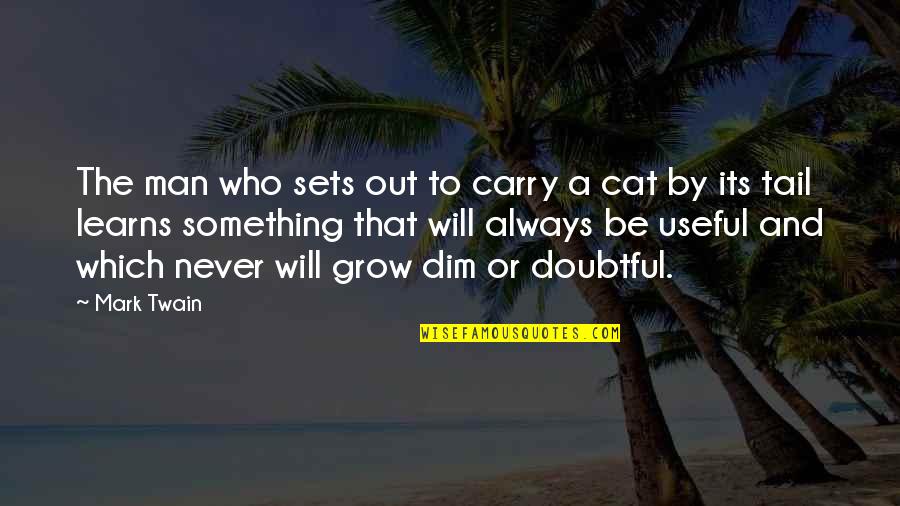 Dim Quotes By Mark Twain: The man who sets out to carry a