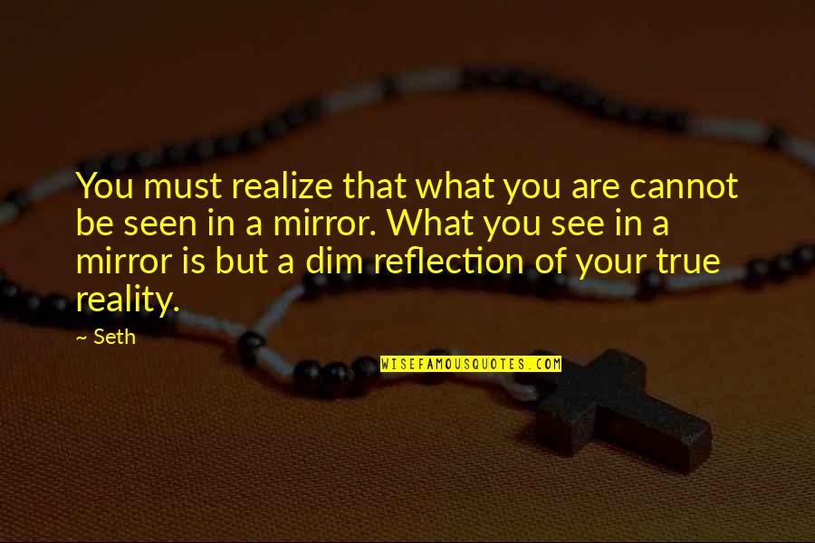 Dim Quotes By Seth: You must realize that what you are cannot Dim Quotes By Seth: You must realize that what you are cannot