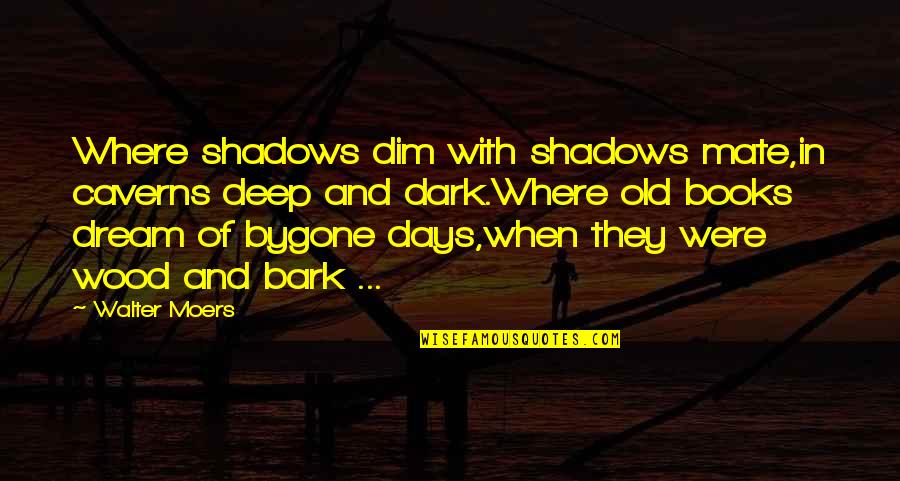 Dim Quotes By Walter Moers: Where shadows dim with shadows mate,in caverns deep