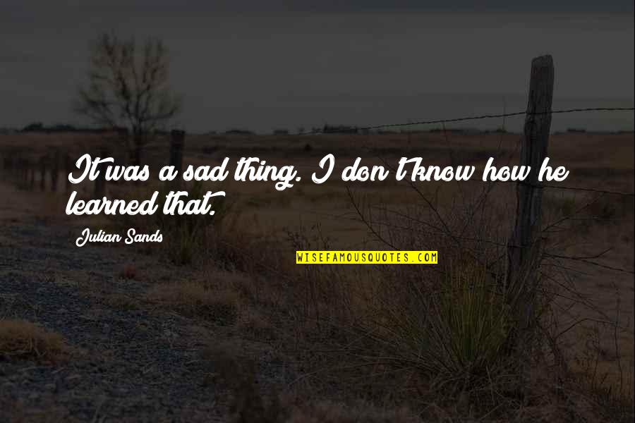 Dimbik Quotes By Julian Sands: It was a sad thing. I don't know Dimbik Quotes By Julian Sands: It was a sad thing. I don't know
