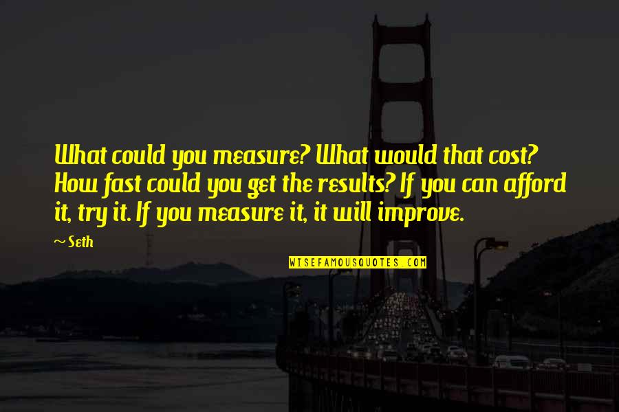 Dimcho Dilar Quotes By Seth: What could you measure? What would that cost?