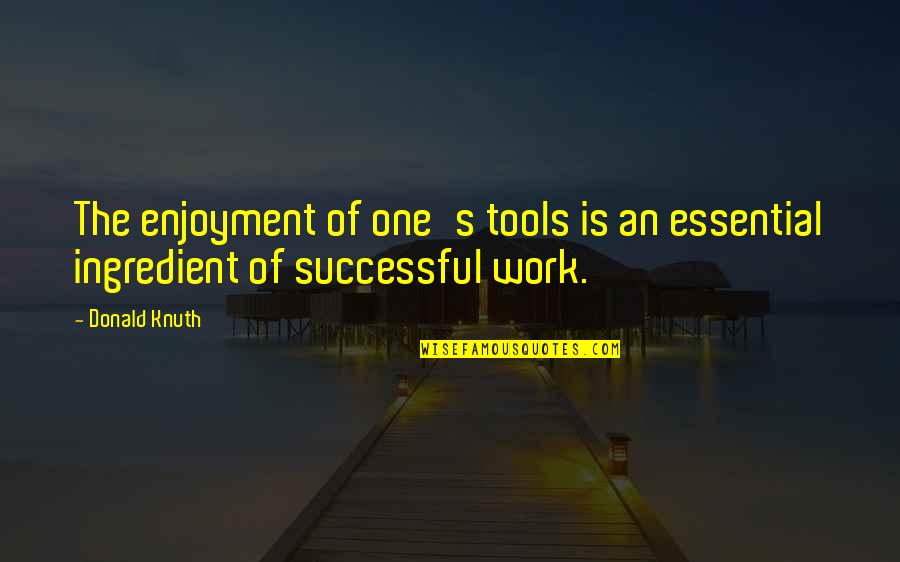 Dime Julion Alvarez Quotes By Donald Knuth: The enjoyment of one's tools is an essential