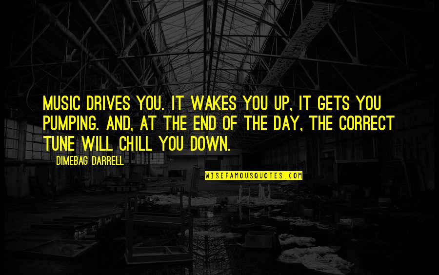 Dimebag Quotes By Dimebag Darrell: Music drives you. It wakes you up, it