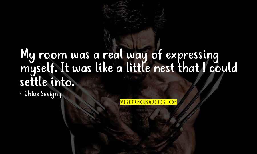 Dimidium Latin Quotes By Chloe Sevigny: My room was a real way of expressing Dimidium Latin Quotes By Chloe Sevigny: My room was a real way of expressing