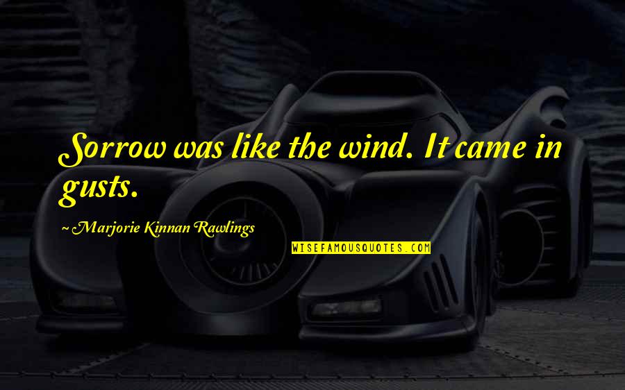 Dimination Quotes By Marjorie Kinnan Rawlings: Sorrow was like the wind. It came in