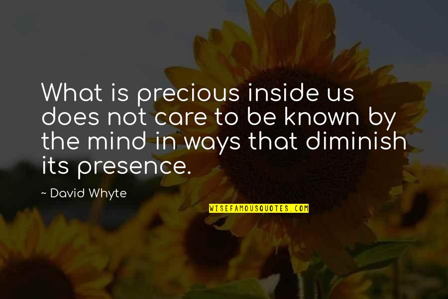 Diminish Quotes By David Whyte: What is precious inside us does not care