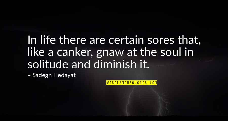 Diminish Quotes By Sadegh Hedayat: In life there are certain sores that, like