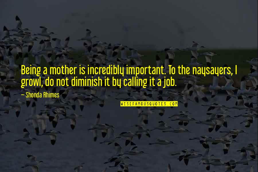 Diminish Quotes By Shonda Rhimes: Being a mother is incredibly important. To the