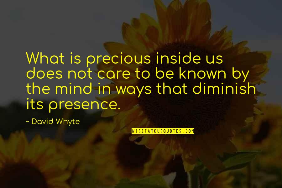 Diminish'd Quotes By David Whyte: What is precious inside us does not care
