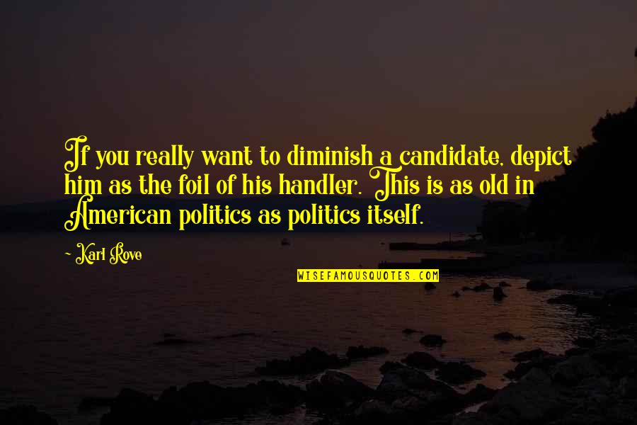Diminish'd Quotes By Karl Rove: If you really want to diminish a candidate,