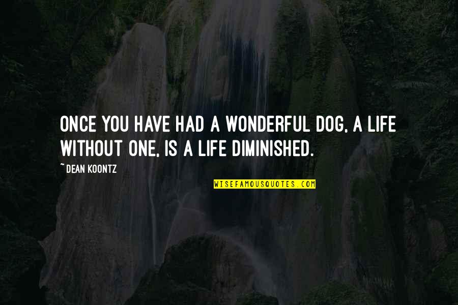 Diminished Quotes By Dean Koontz: Once you have had a wonderful dog, a