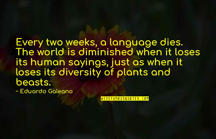 Diminished Quotes By Eduardo Galeano: Every two weeks, a language dies. The world