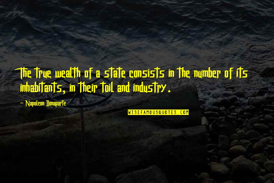 Diminuir Tamanho Quotes By Napoleon Bonaparte: The true wealth of a state consists in