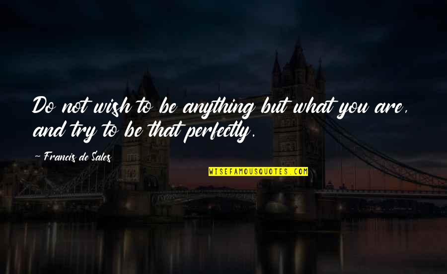 Diminutive Quotes By Francis De Sales: Do not wish to be anything but what