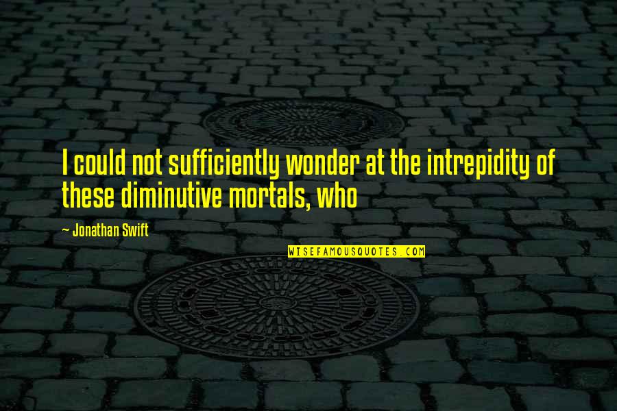 Diminutive Quotes By Jonathan Swift: I could not sufficiently wonder at the intrepidity