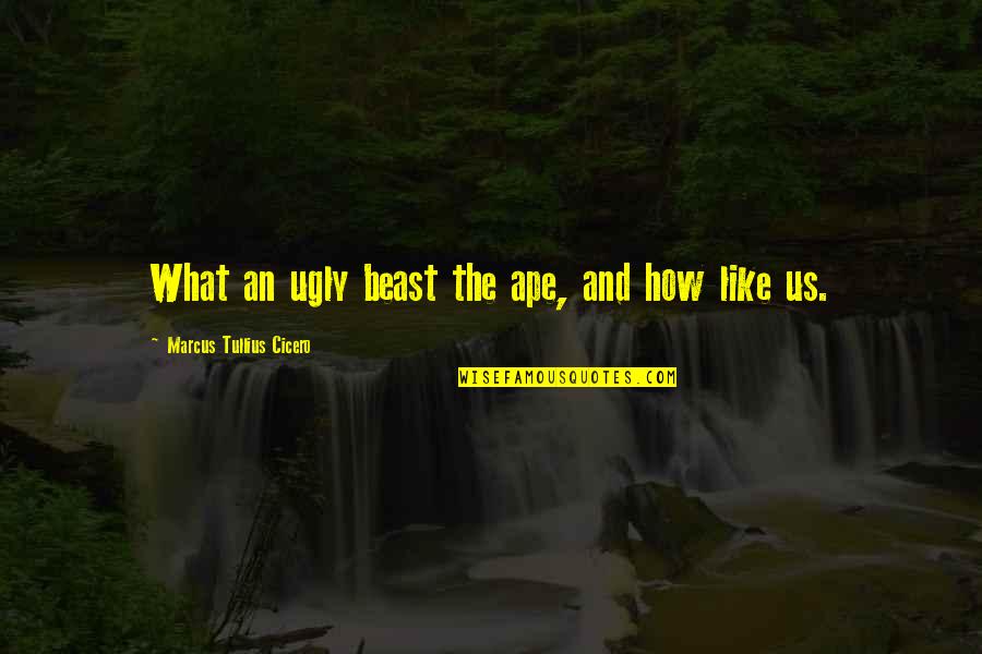 Dimitri Bontinck Quotes By Marcus Tullius Cicero: What an ugly beast the ape, and how