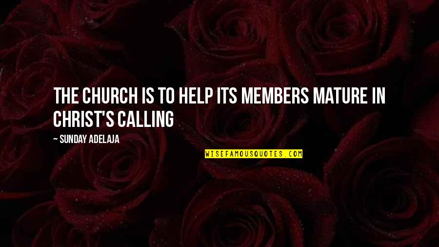 Dimitri Verhulst Quotes By Sunday Adelaja: The church is to help its members mature