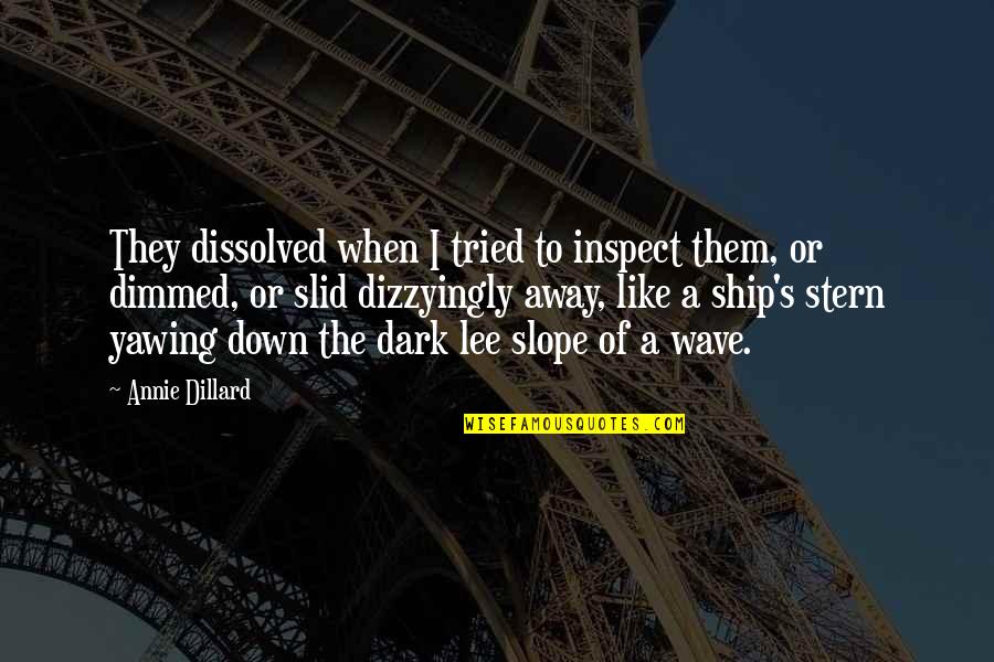 Dimmed Quotes By Annie Dillard: They dissolved when I tried to inspect them, Dimmed Quotes By Annie Dillard: They dissolved when I tried to inspect them,