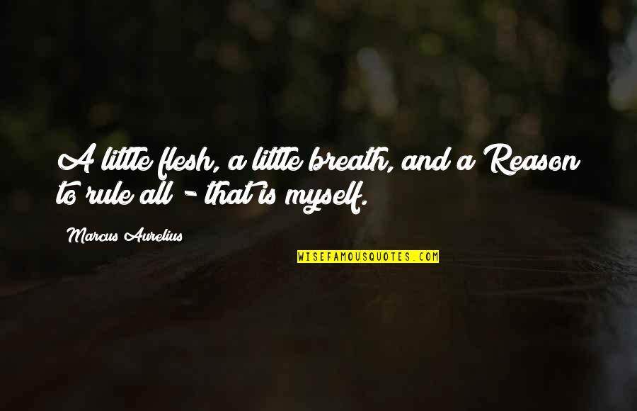 Dimora Delle Quotes By Marcus Aurelius: A little flesh, a little breath, and a