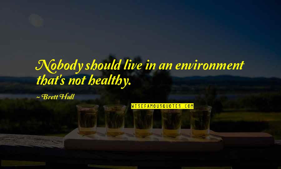 Dimostrate Quotes By Brett Hull: Nobody should live in an environment that's not