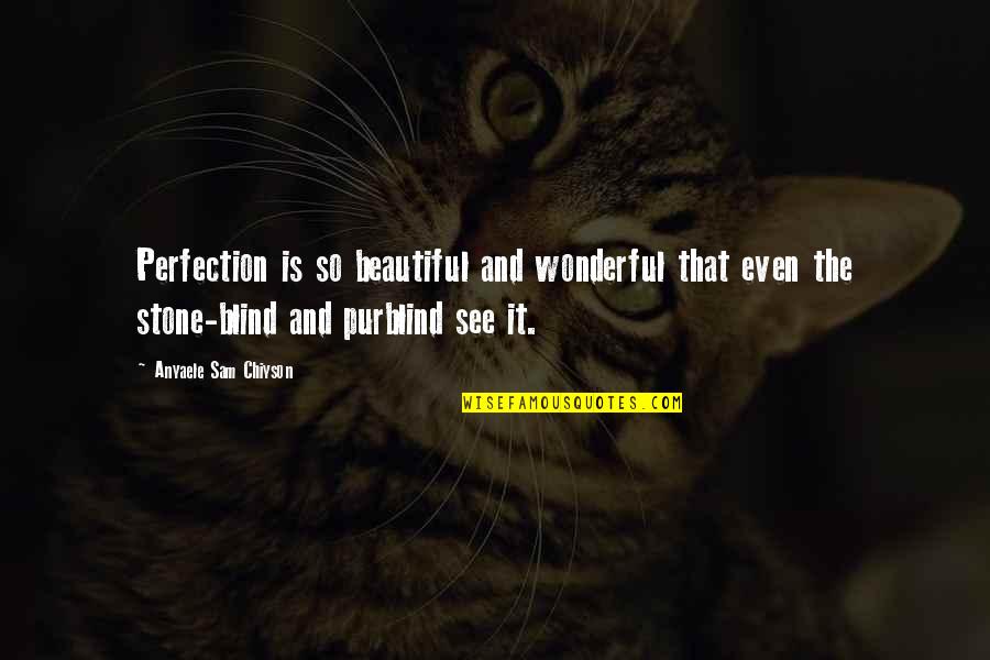 Dimwitted Sorts Quotes By Anyaele Sam Chiyson: Perfection is so beautiful and wonderful that even