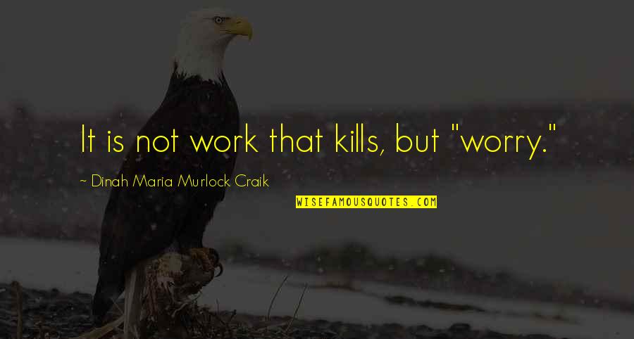 Dinah Craik Quotes By Dinah Maria Murlock Craik: It is not work that kills, but "worry."