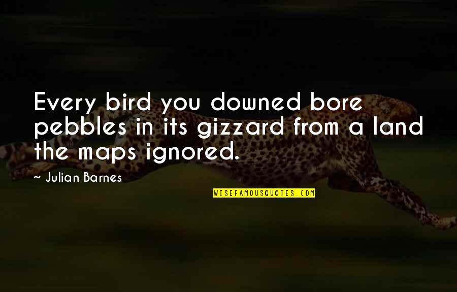 Dinardo Concrete Quotes By Julian Barnes: Every bird you downed bore pebbles in its