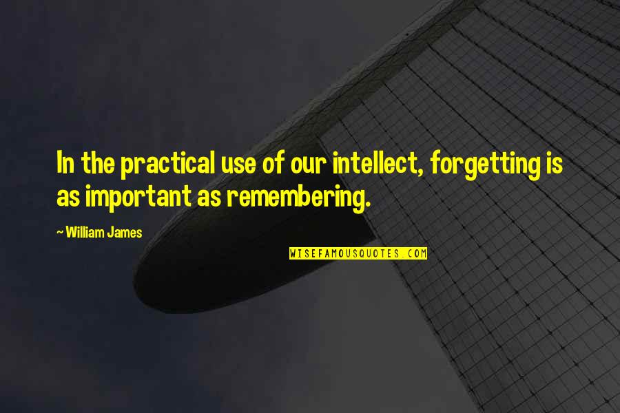Dinardos Philadelphia Quotes By William James: In the practical use of our intellect, forgetting