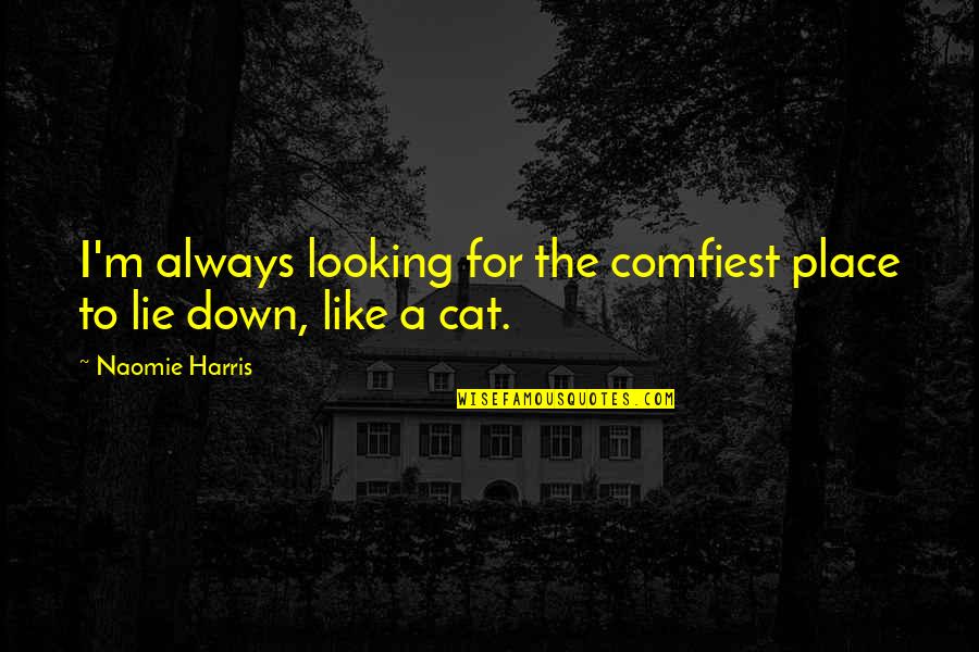 Dincic Poliklinika Quotes By Naomie Harris: I'm always looking for the comfiest place to