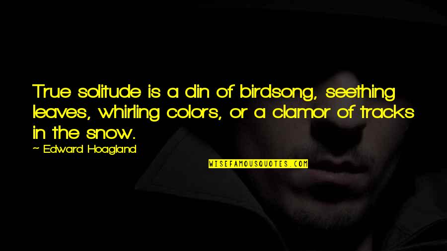 Din'd Quotes By Edward Hoagland: True solitude is a din of birdsong, seething
