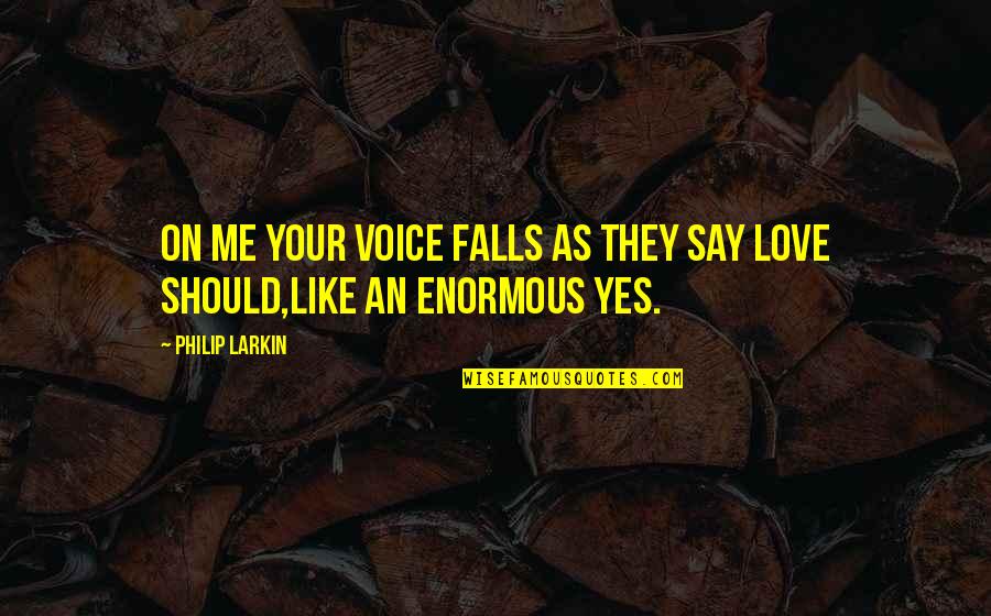 Dindigul Thalappakatti Quotes By Philip Larkin: On me your voice falls as they say