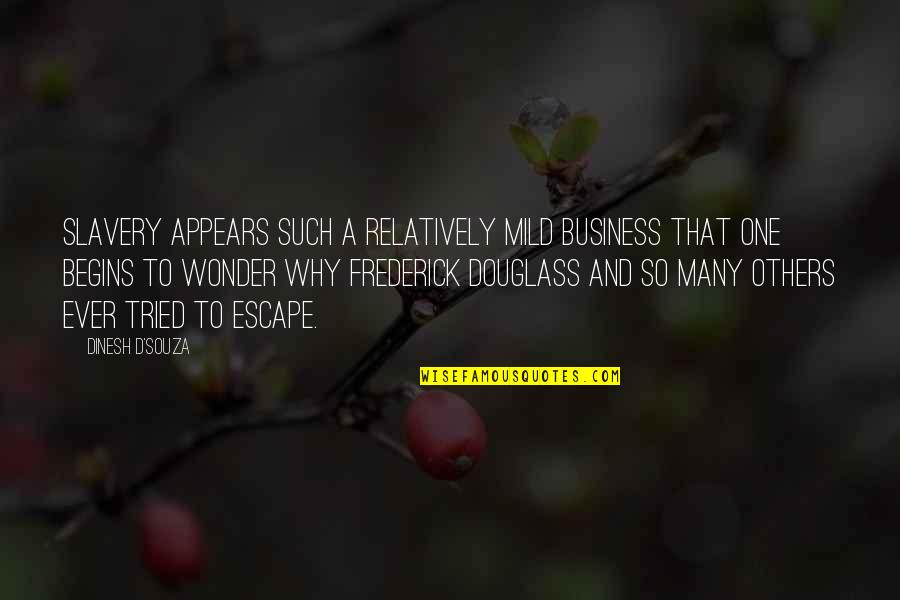 Dinesh Quotes By Dinesh D'Souza: Slavery appears such a relatively mild business that Dinesh Quotes By Dinesh D'Souza: Slavery appears such a relatively mild business that