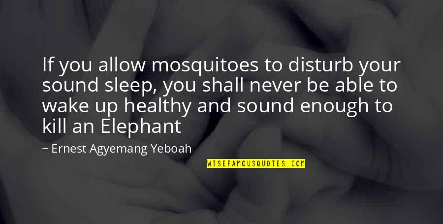 Dingeman Boot Quotes By Ernest Agyemang Yeboah: If you allow mosquitoes to disturb your sound