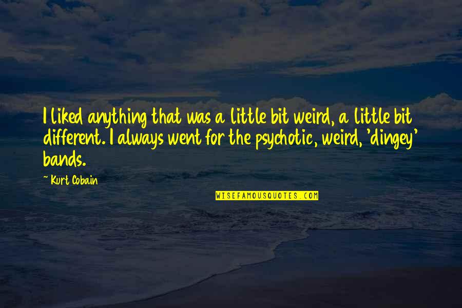Dingey Quotes By Kurt Cobain: I liked anything that was a little bit