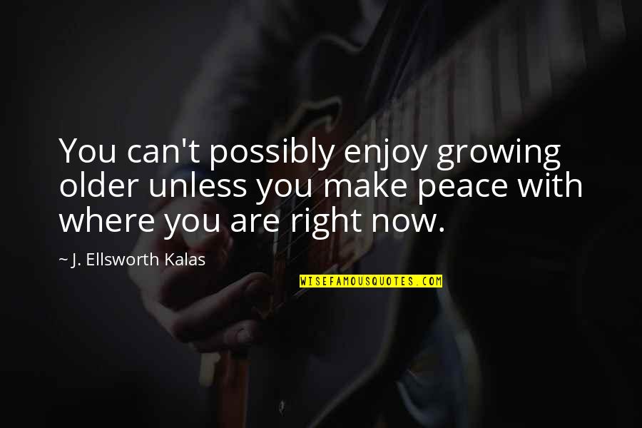 Dingley Dell Quotes By J. Ellsworth Kalas: You can't possibly enjoy growing older unless you Dingley Dell Quotes By J. Ellsworth Kalas: You can't possibly enjoy growing older unless you